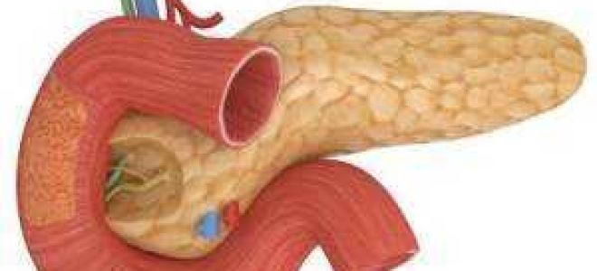 Заболевания поджелудочной железы: симптомы, признаки и причины