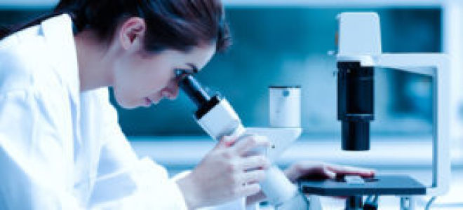 Дерматомикоз стоп, ногтей, гладкой кожи, лица: что это такое, чем лечить
