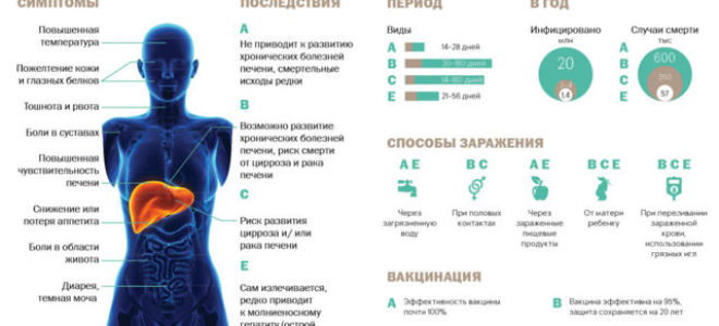 Гепатиты: их виды и классификация, самый опасный тип, какие бывают способы заражения, стадии