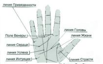 Пятна на запястьях рук: фото, причины появления и лечение