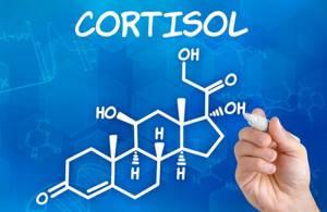 Что значит анализ на кортизол в крови