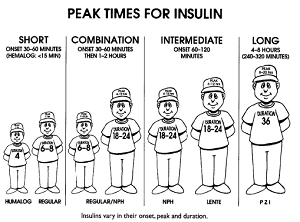 Классификация видов инсулина и их применение