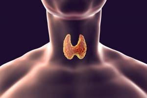 Самые эффективные методы лечения щитовидной железы народными средствами