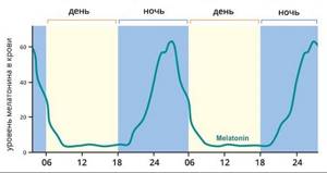 Что такое мелатонин (гормон сна), когда вырабатывается, за что отвечает