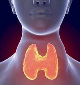Может ли щитовидка влиять на давление? Вся правда о щитовидке