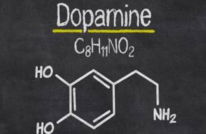 Гормон дофамин - что это такое