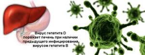 Гепатит Д. Причины, способы инфицирования, диагностика и лечение заболевания