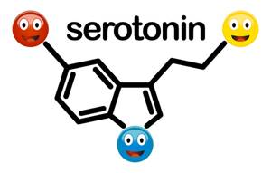 Гормон счастья серотонин - что это такое и его действие на организм