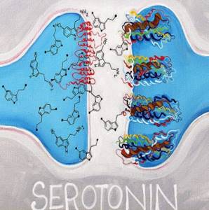 Как повысить уровень серотонина в организме