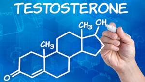 Гормон тестостерон в продуктах питания для мужчин и женщин