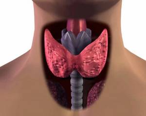 Фокальные изменения щитовидной железы: причины и лечение