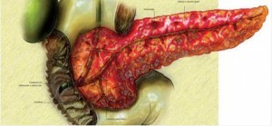 Увеличенная поджелудочная железа: причины и лечение