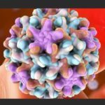 Гепатит ttv — симптомы заболевания, лечение