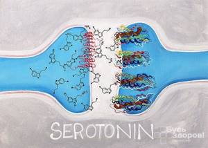 Как повысить уровень серотонина в организме