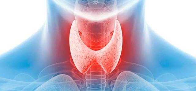 Может ли щитовидка влиять на давление? Вся правда о щитовидке