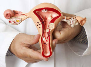 Эстрогены - гормон вырабатывающийся у женщин в яичниках