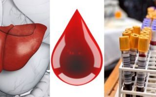 Анализ крови на печеночные пробы — показатели, норма и причины отклонений