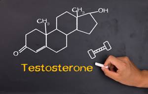 Гормон тестостерон в продуктах питания для мужчин и женщин
