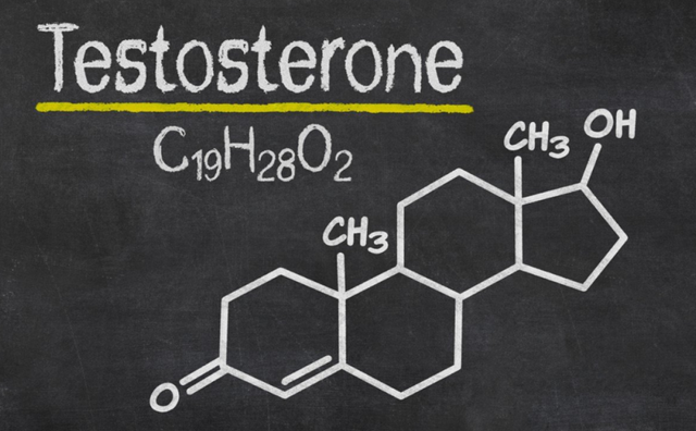 Гормон тестостерон, строение, фунции и его роль в организме