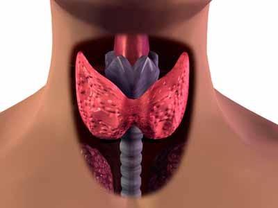 Заболевания щитовидной железы. Признаки, симптомы и лечение заболеваний щитовидной железы