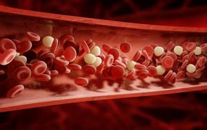 Триглицериды повышены в анализе крови: что это значит, лечение, диета