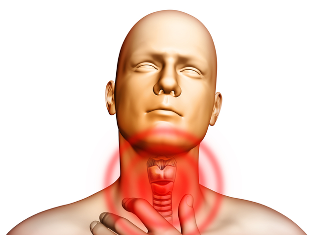 Щитовидная железа у мужчин — гормоны, проблемы