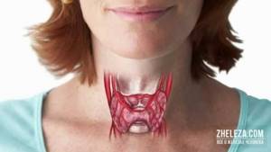 Беременность после удаления щитовидной железы
